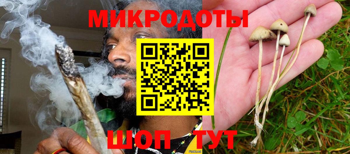 Псилоцибиновые грибы ЛСД Бор