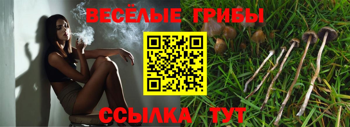 Псилоцибиновые грибы Cubensis  Псилоцибиновые грибы Cubensis  даркнет сайт  Вход с VPN  Бор 